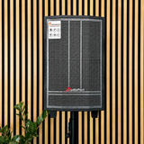Audioport V8 cassa attiva portatile 250 W con 2 microfoni