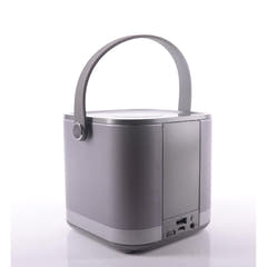 Madison Altoparlante WiFi wireless