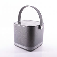 Madison Altoparlante WiFi wireless