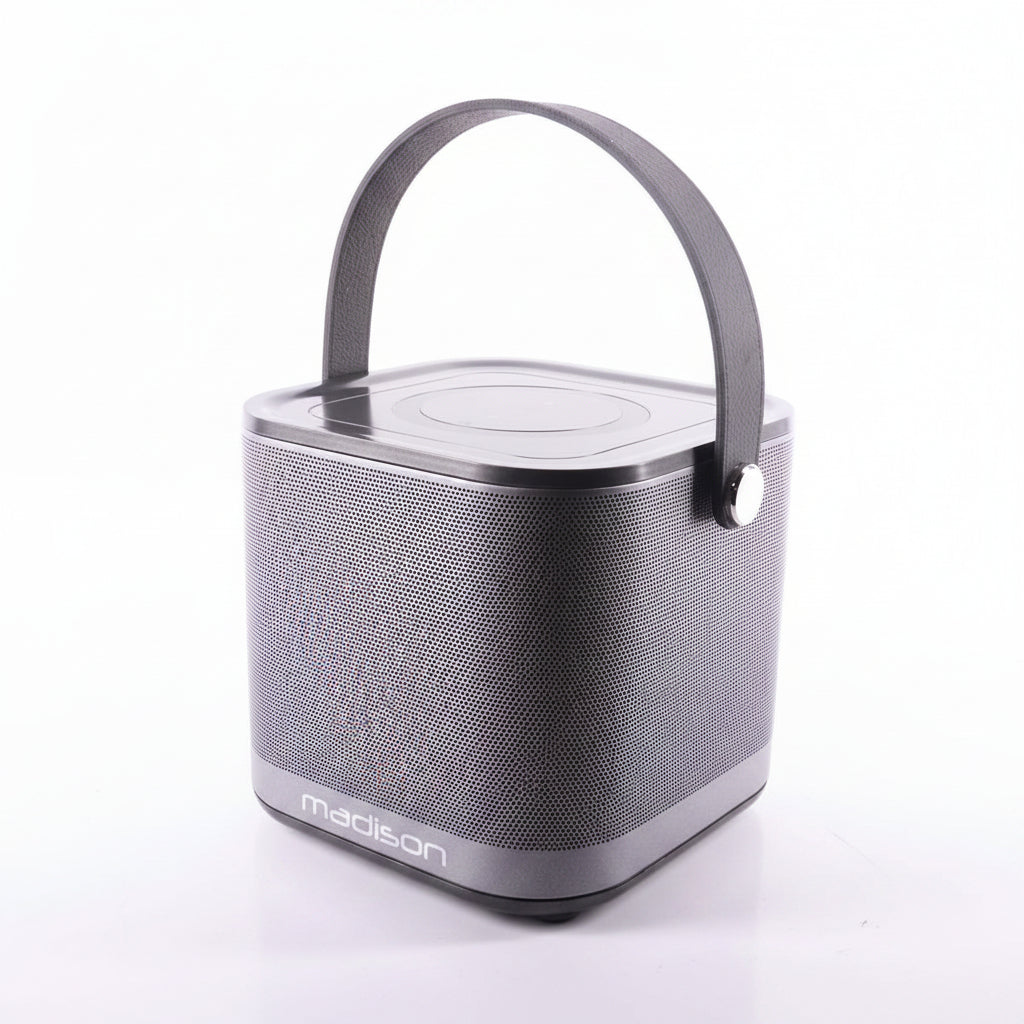 Madison Altoparlante WiFi wireless