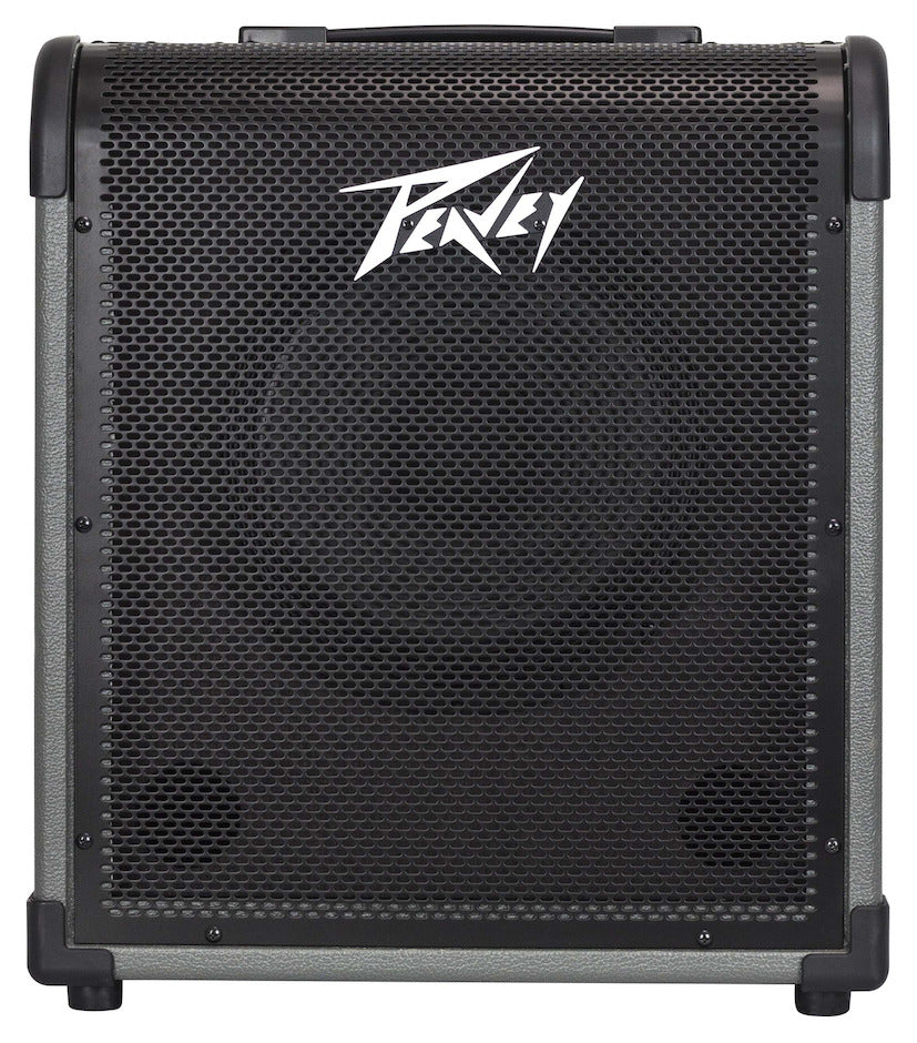 Peavey MAX100 Amplificatore di base 