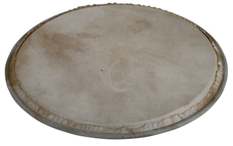 Latin Percussion Percussion head Plenera - 8" (WB505A)