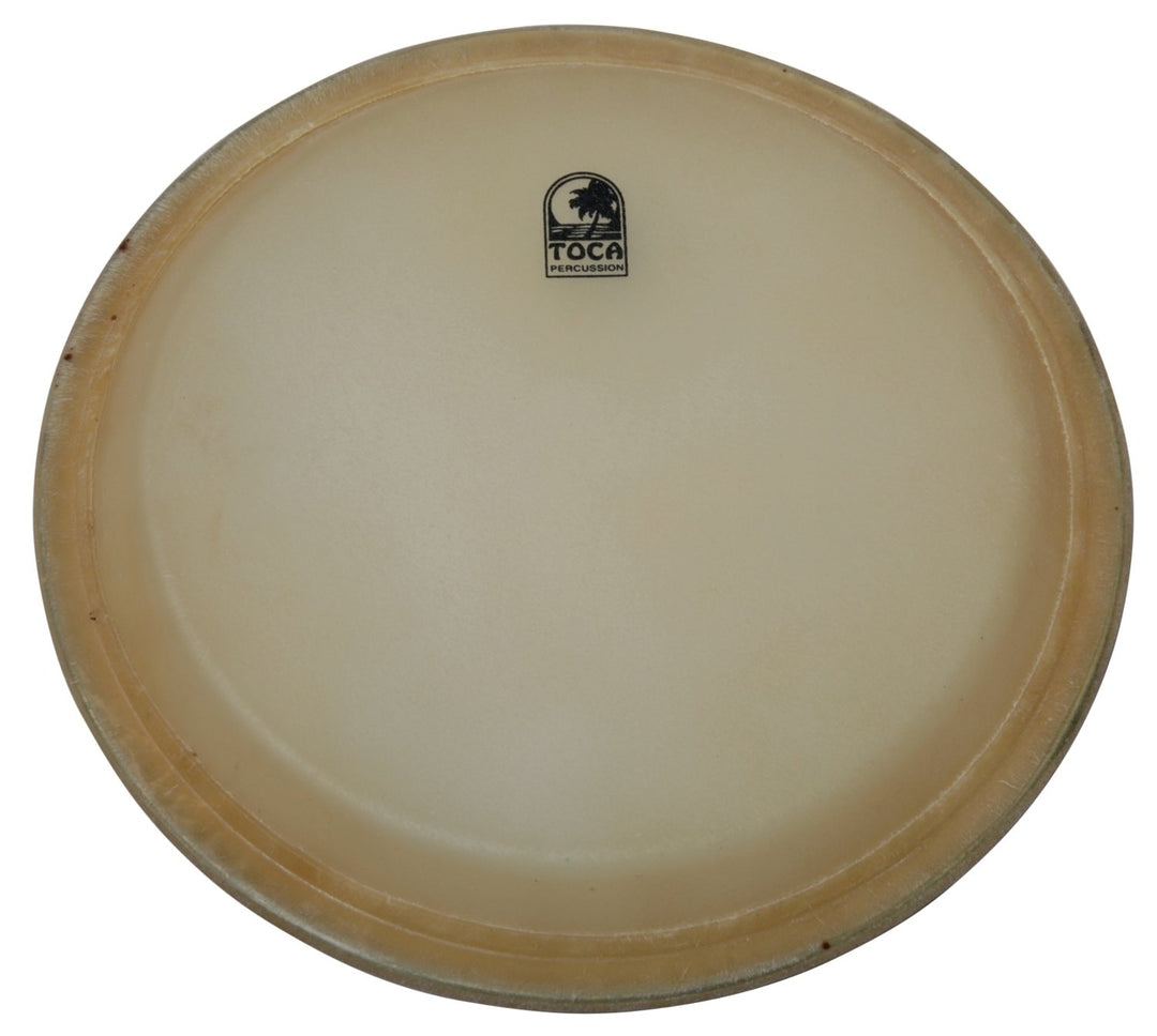 Toca Percezione head Elite Pro Conga & Bongo - Conga 11" (TP-3111HD)