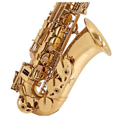 V-TONE AS 100 sax alto con set di custodie