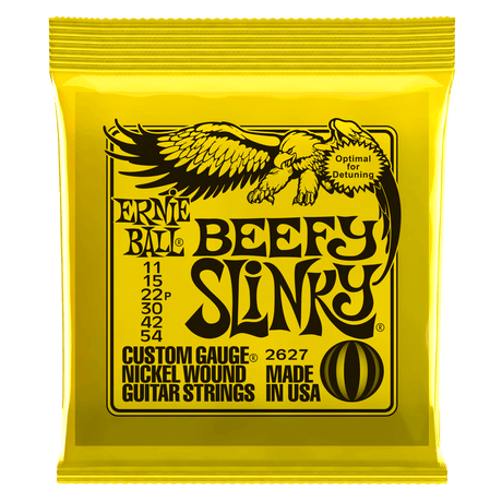 Ernie Ball Slinky Nickel Wound Corde per Chitarra (El-Guitar)