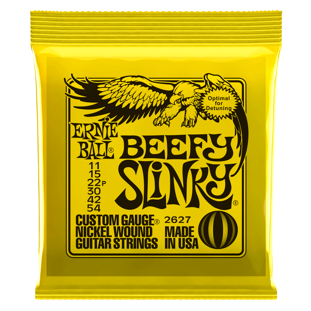 Ernie Ball Slinky Nickel Wound Corde per Chitarra (El-Guitar)