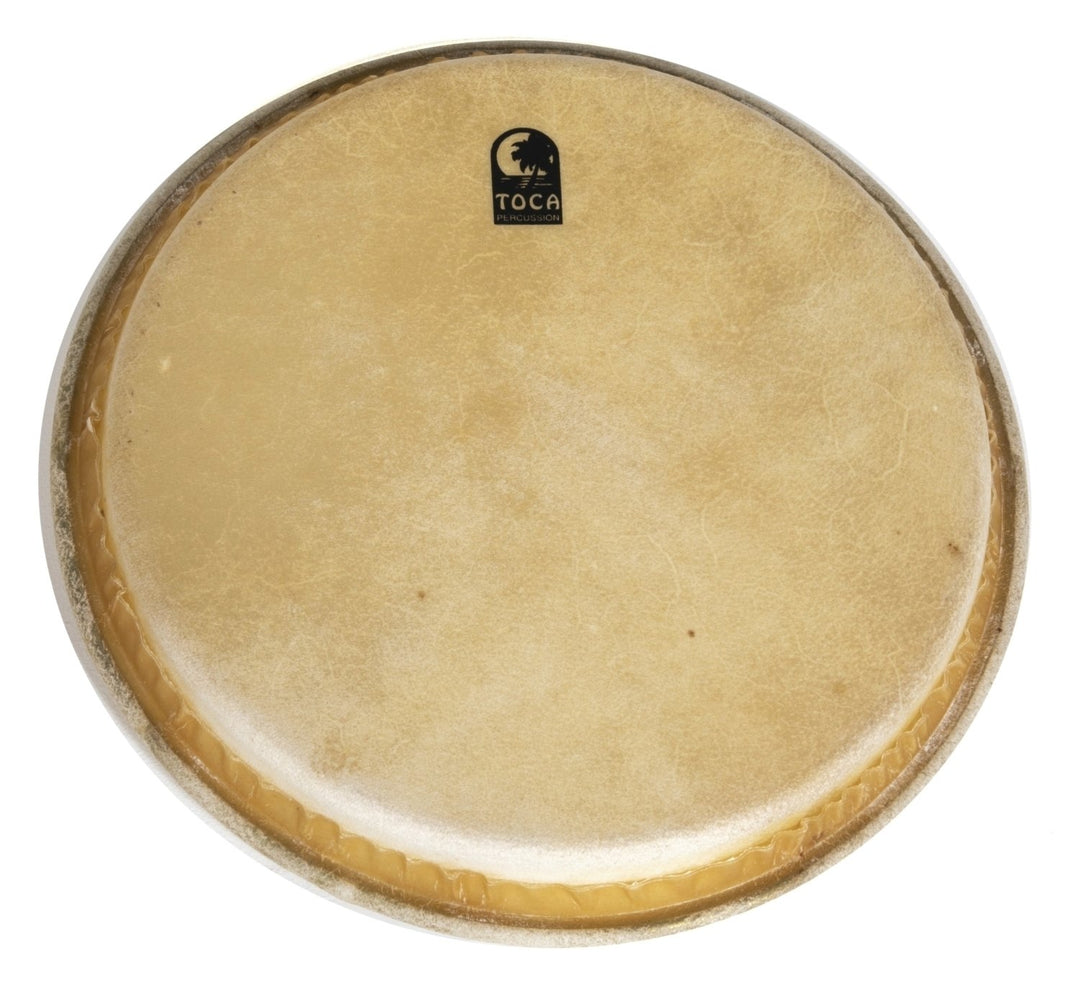 Toca Percezione testa Batá Drums - 12" Large Iya (TP-33002)