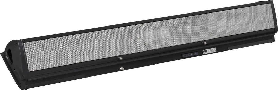 KORG PaAS MK2 - Sistema di amplificazione