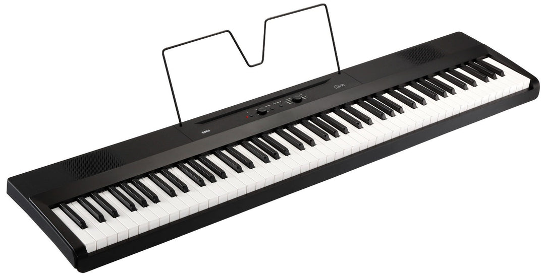 KORG L1 Liano Piano digitale