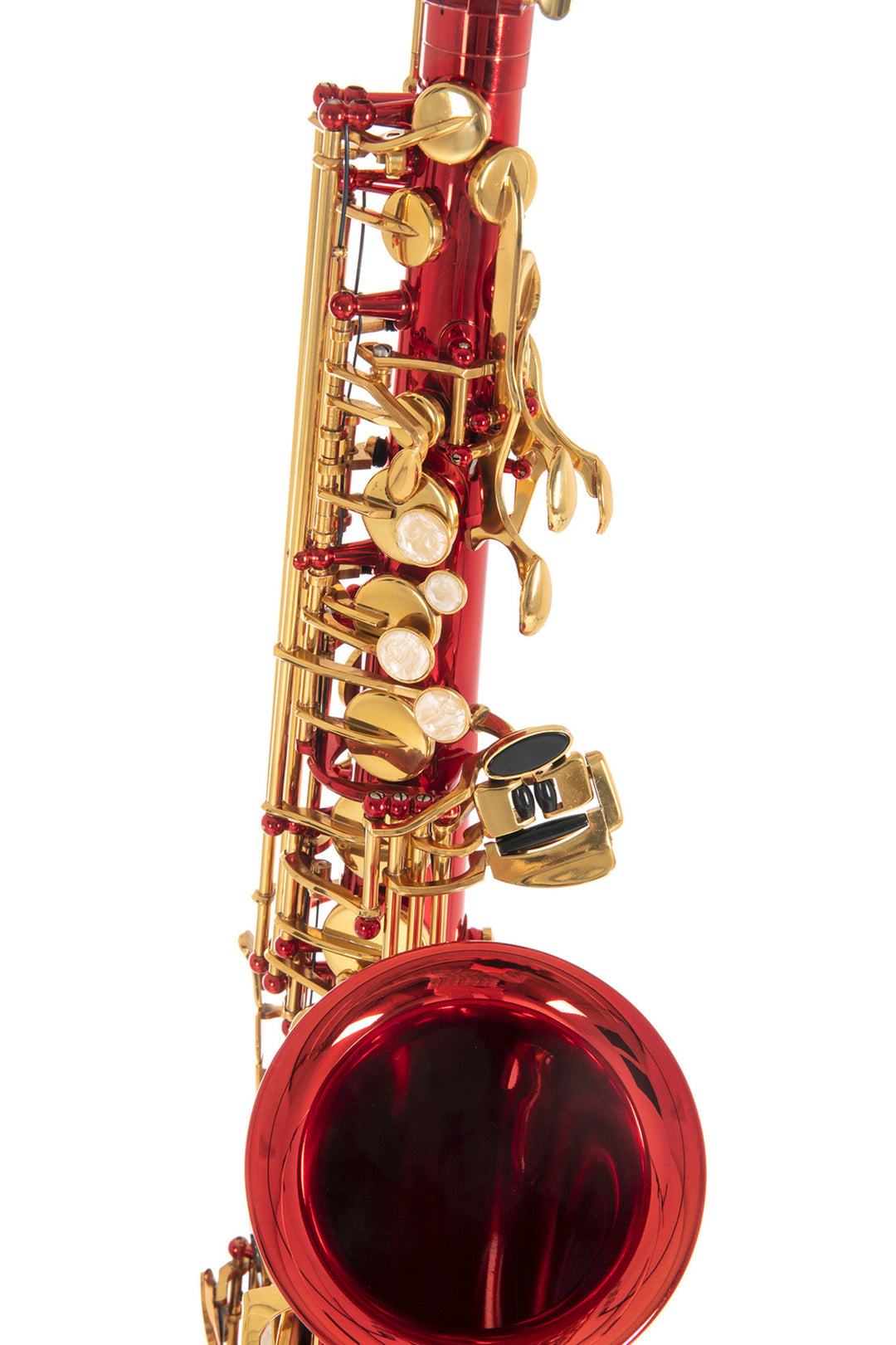 Sax contralto in Mi bemolle Roy Benson Roy Benson AS-202R - AS-202R