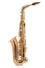 Roy Benson sassofono contralto in Mib Roy Benson AS202G - AS-202G