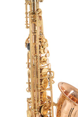 Roy Benson sassofono contralto in Mib Roy Benson AS202G - AS-202G