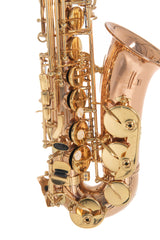Roy Benson sassofono contralto in Mib Roy Benson AS202G - AS-202G