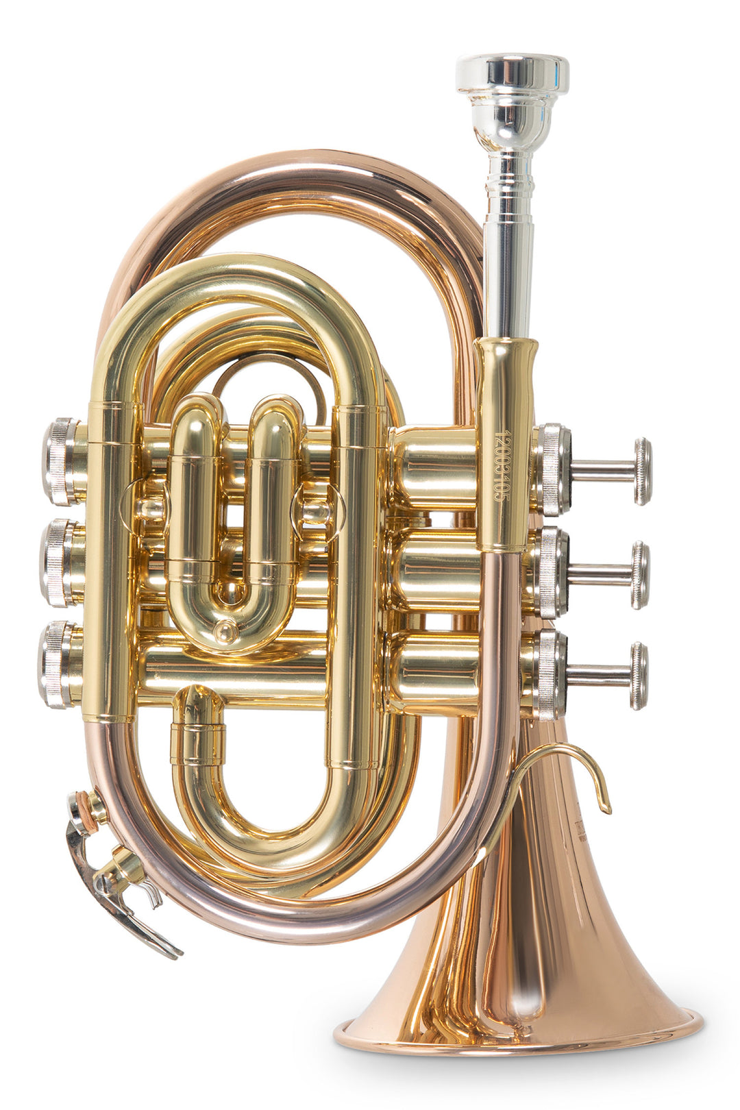 Roy Benson tromba tascabile Bb Roy Benson PT-101G - PT-101G