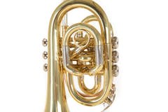 Roy Benson Tromba tascabile in Bb Roy Benson PT-302 - PT-302