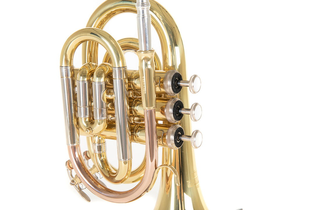 Roy Benson Tromba tascabile in Bb Roy Benson PT-302 - PT-302