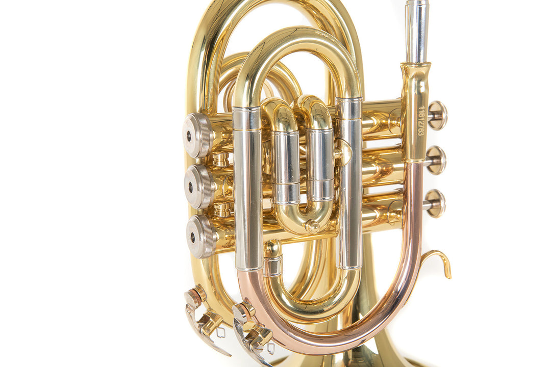 Roy Benson Tromba tascabile in Bb Roy Benson PT-302 - PT-302