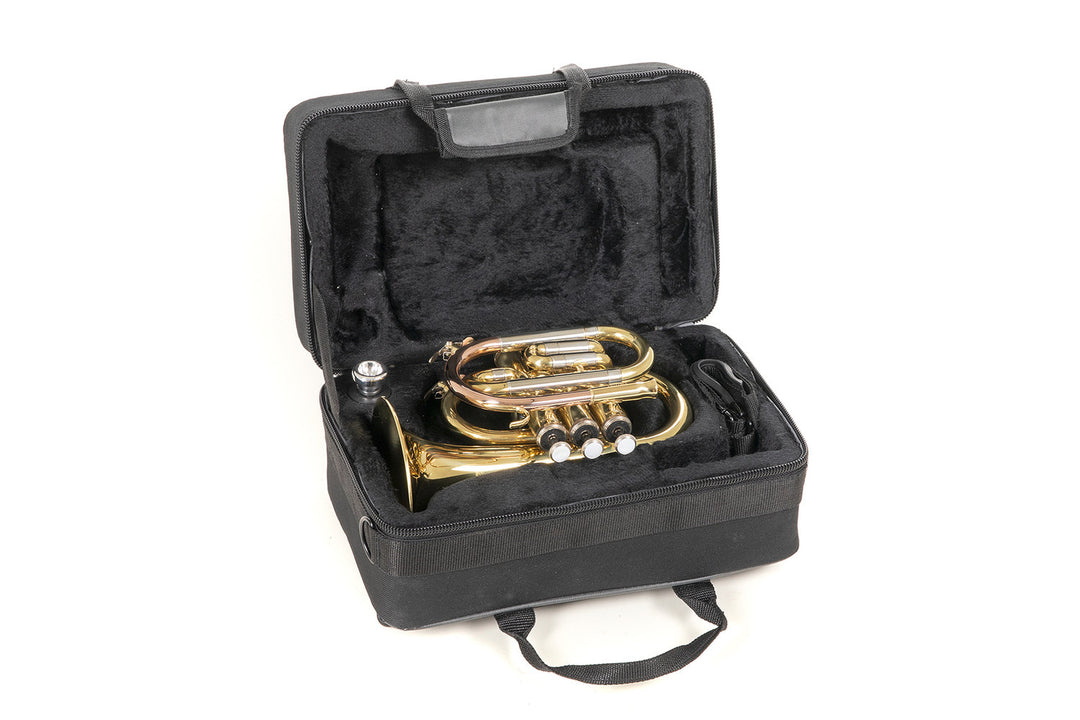 Roy Benson Tromba tascabile in Bb Roy Benson PT-302 - PT-302