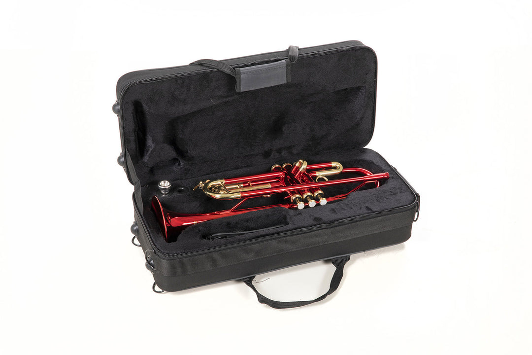Roy Benson Tromba in Bb Roy Benson TR-101R - TR-101R
