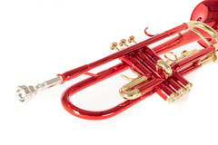Roy Benson Tromba in Bb Roy Benson TR-101R - TR-101R