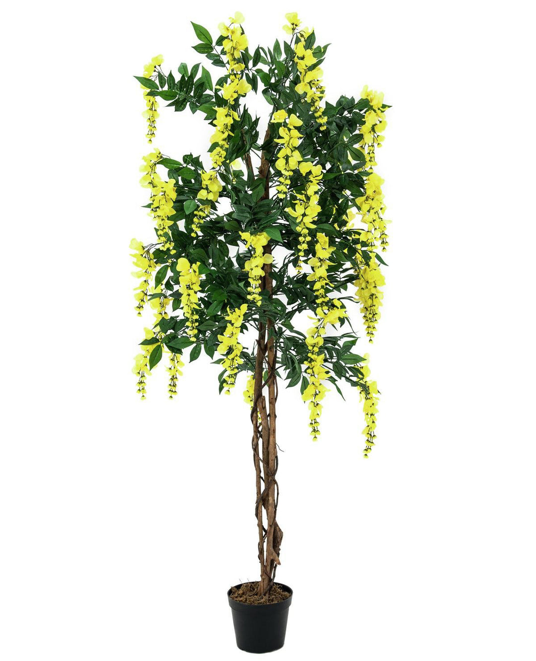 Glicine Artificiale (Giallo, 150cm)