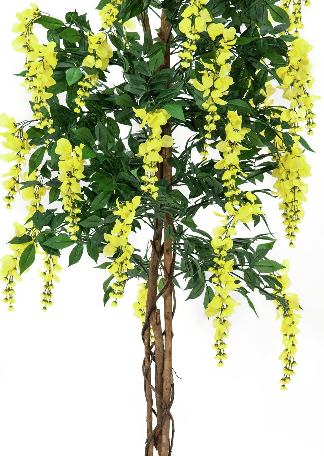 Glicine Artificiale (Giallo, 150cm)