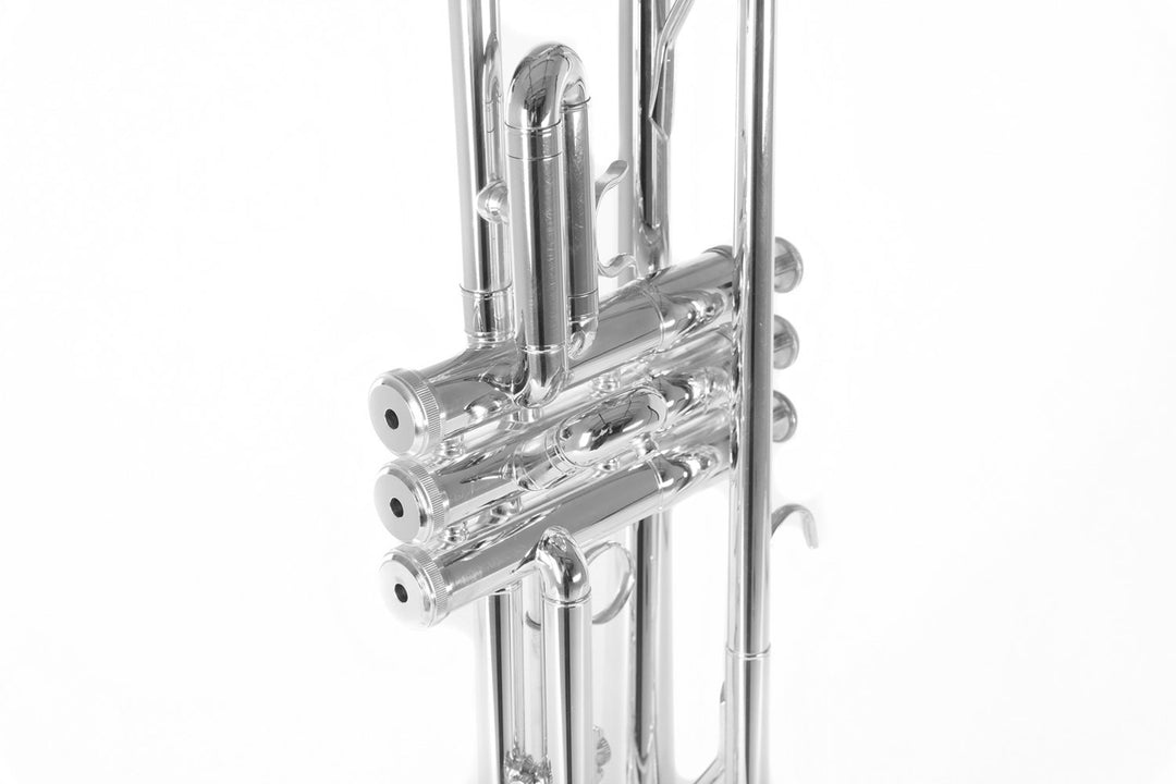 Tromba in Bb Roy Benson Roy Benson TR-202S - TR-202S