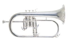 Roy Benson Bb-Flicorno Roy Benson FH-302S - FH-302S
