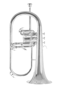 Roy Benson Bb-Flicorno Roy Benson FH-302S - FH-302S