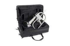 Roy Benson Bb-Flicorno Roy Benson FH-302S - FH-302S