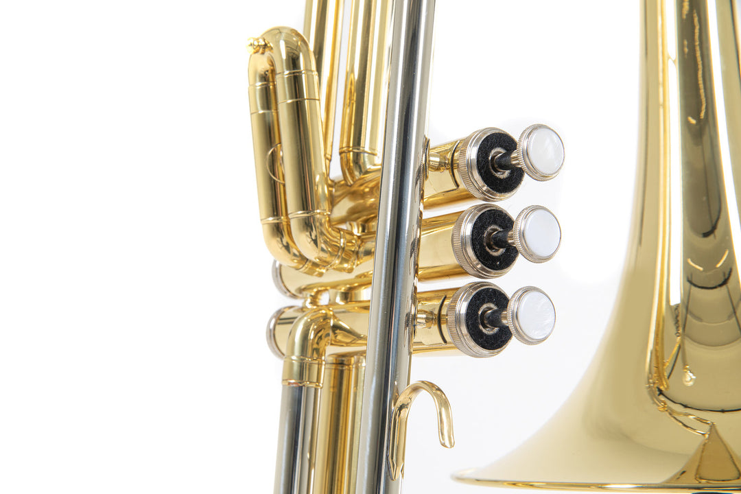 Roy Benson Bb-Valve Tromboni Roy Benson VT-227 - VT-227