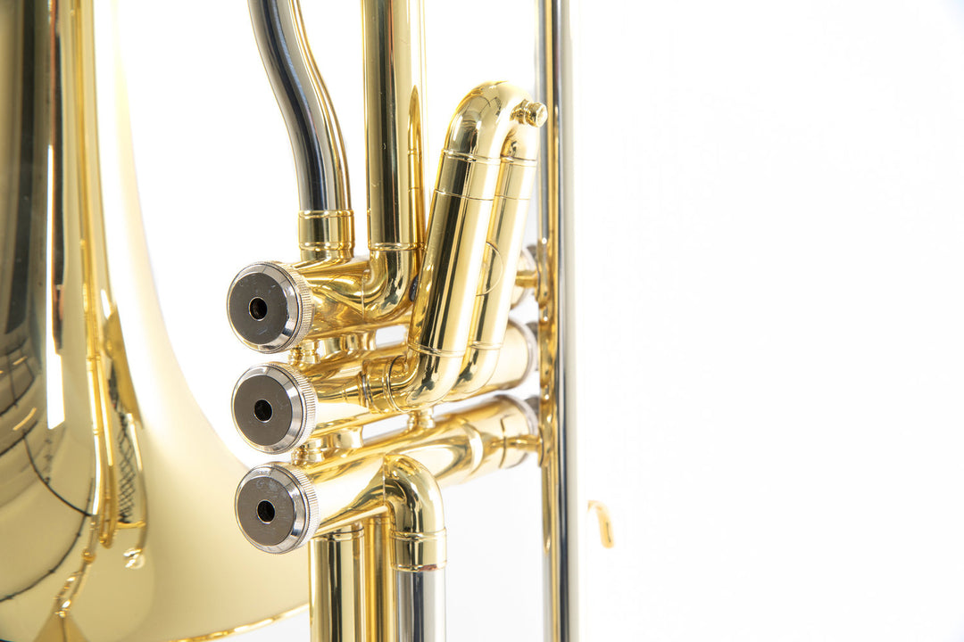Roy Benson Bb-Valve Tromboni Roy Benson VT-227 - VT-227