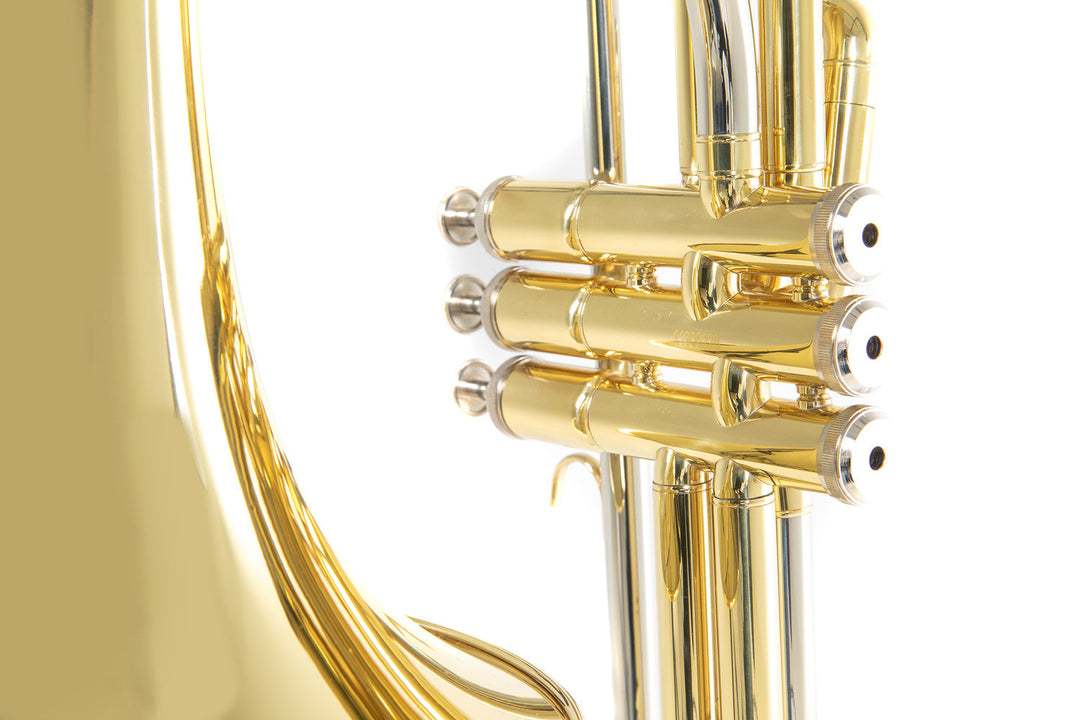 Roy Benson Bb-Valve Tromboni Roy Benson VT-227 - VT-227