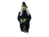 Halloween Flying Witch