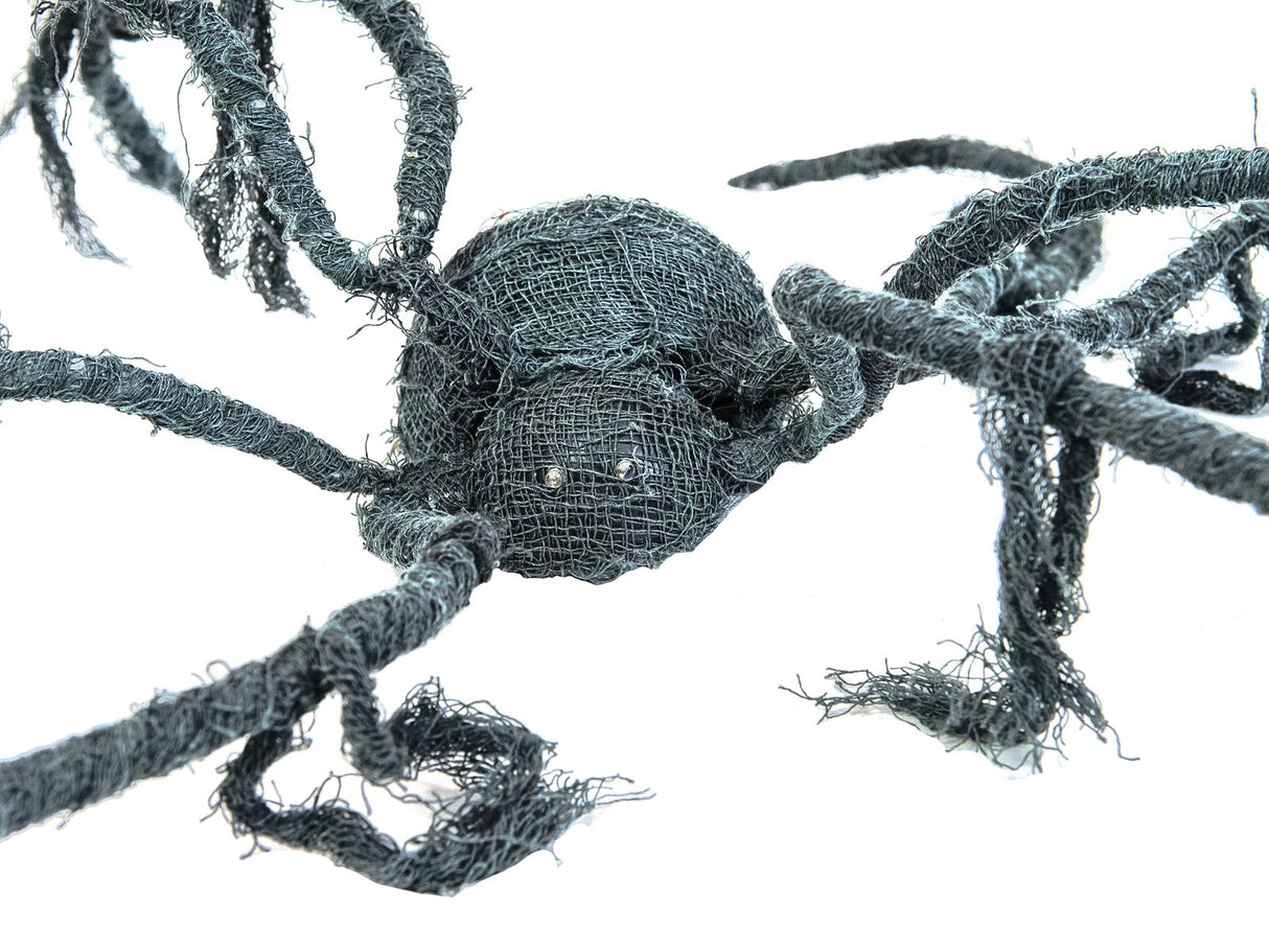 Halloween spider