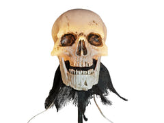 Teschi di Halloween con picchetti da terra, 3 pezzi, 29 cm