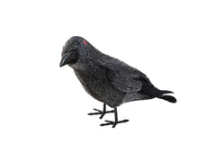 Corvo di Halloween, 18 cm, nero