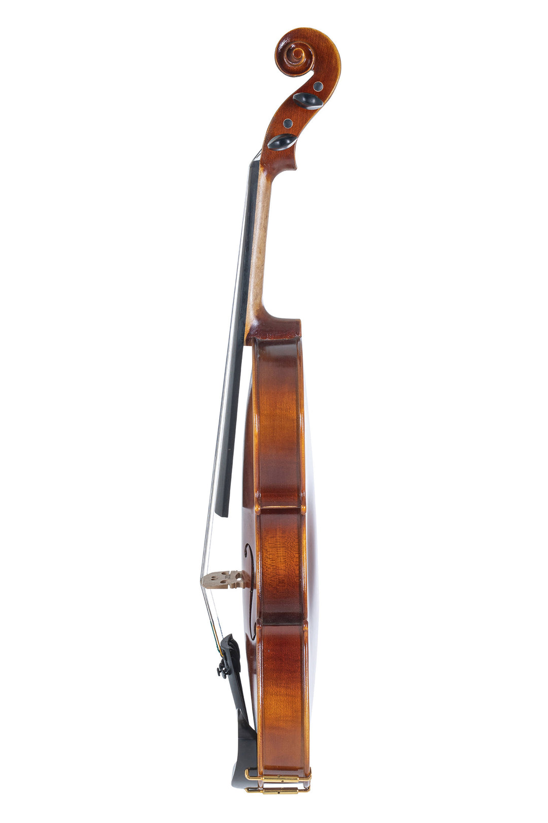 GEWA Violin Allegro - 4/4 lefthand (Pronto all'uso incl. custodia per violino, archetto in Massaranduba, corde Larsen Aurora, protetto per il trasporto)