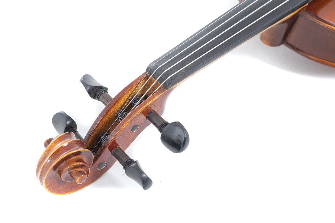GEWA Violin Allegro - 4/4 (Pronto per suonare incl. custodia per violino, senza archetto, con corde Larsen Aurora)