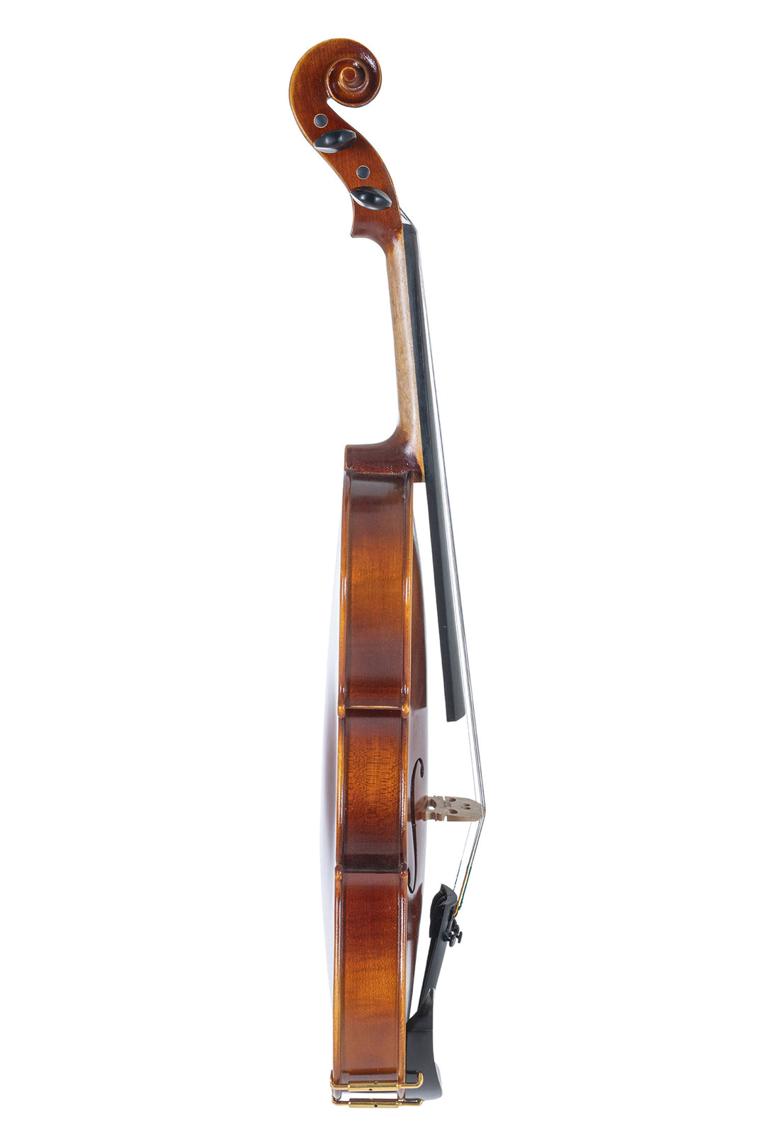 GEWA Violin Allegro - 4/4 (Pronto per suonare incl. custodia per violino, senza archetto, con corde Larsen Aurora)