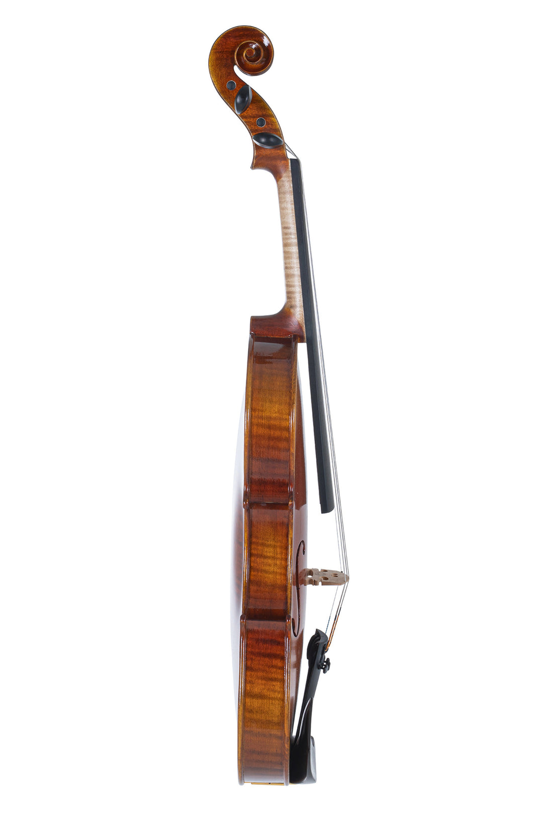 GEWA Violin Maestro 1 - 4/4 (Ready to play incl. violin case, carbon bow and Il Cannone strings, transport-secured)