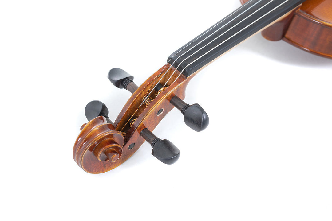 GEWA Violin Maestro 1 - 4/4 (Ready to play incl. GEWA Bio violin shaped case, GEWA Carbon Bow Advanced and Il Cannone strings)