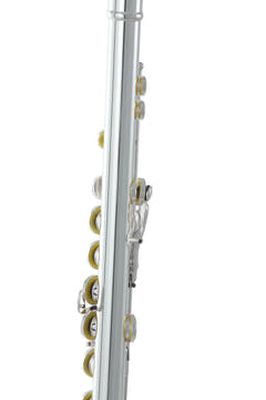 Flauto Roy Benson Roy Benson FL-602E - FL-602E
