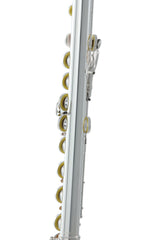 Roy Benson Flute Roy Benson FL-602E - FL-602E