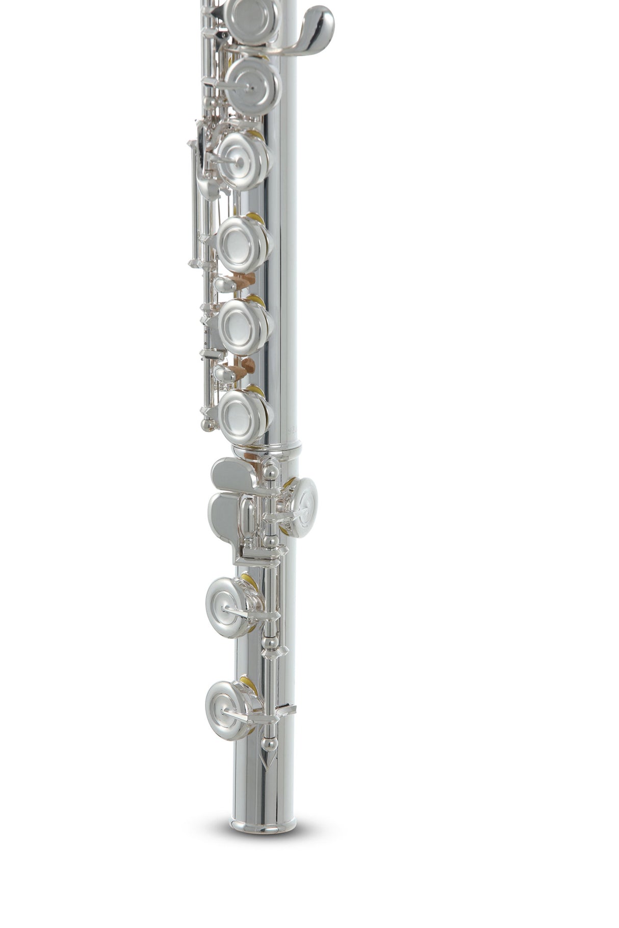 Roy Benson Flute Roy Benson FL-602E - FL-602E