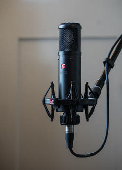 sE Electronics sE2200 Microfono a Condensatore da Studio