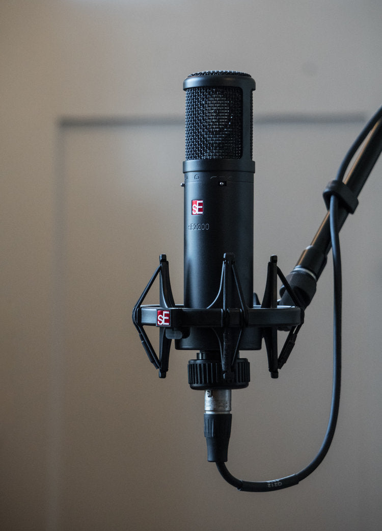 sE Electronics sE2200 Microfono a Condensatore da Studio