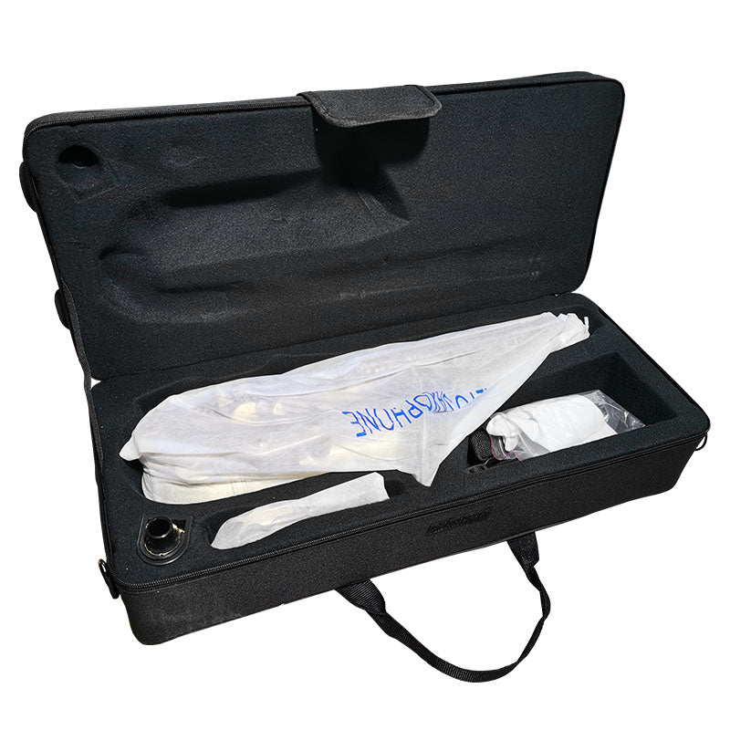 V-TONE AS 100 sax alto con set di custodie