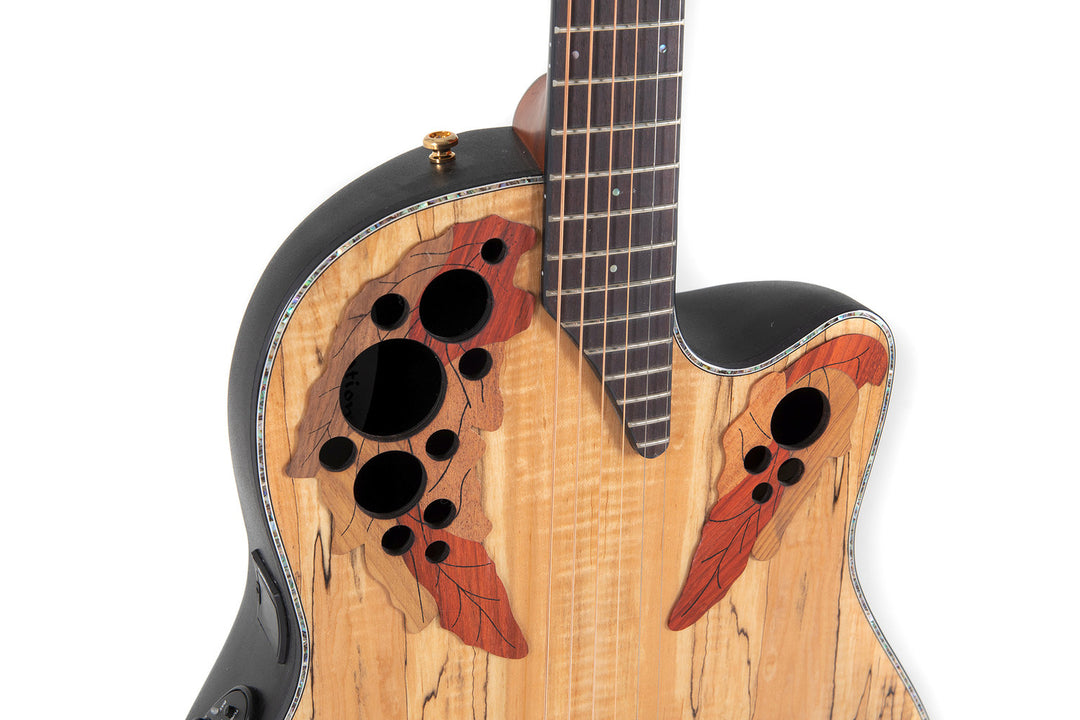 Ovation E-Acoustic chitarre Celebrity Elite Plus Mid Cutaway - Natural Spalted Maple (CE44P-SM-G)