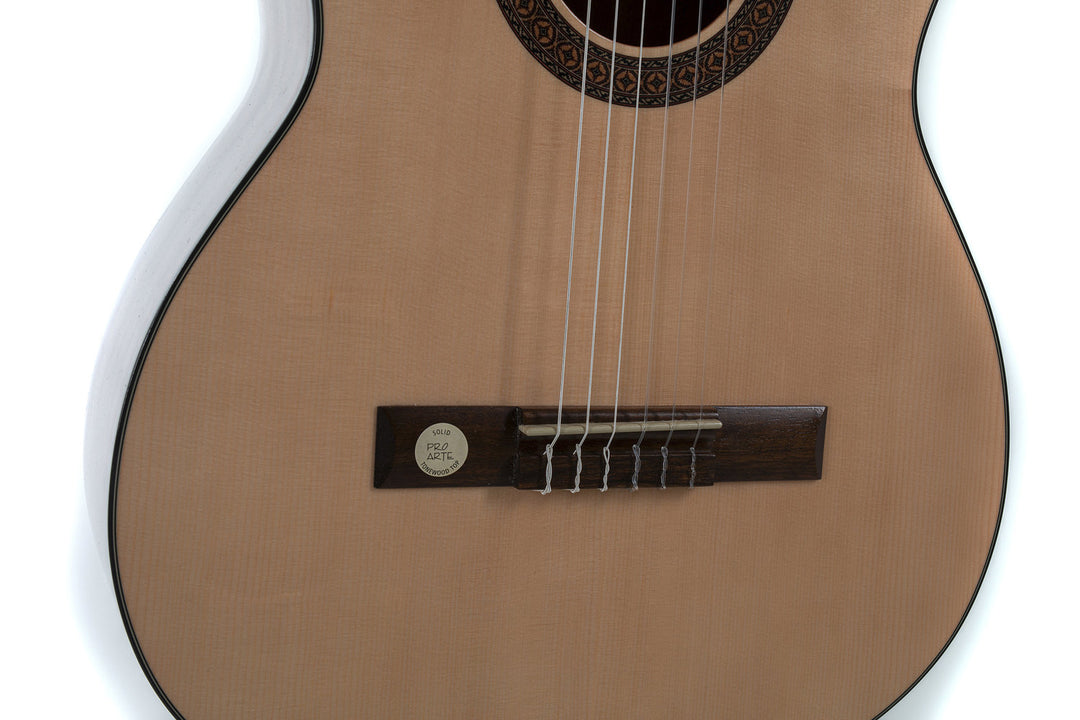GEWA Chitarra classica Pro Arte GC 210 A - misura 4/4